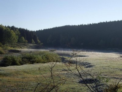 Holiday house Ferienhaus mit Wellnessbereich in Elend - Environment photo 30