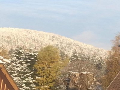 Holiday house Ferienhaus mit Wellnessbereich in Elend - Environment photo 31