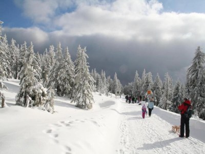 Holiday house Ferienhaus mit Wellnessbereich in Elend - Environment photo 35