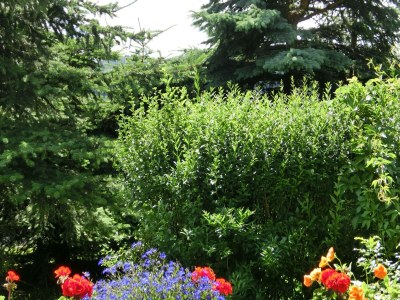 Holiday house Quiet Comfort Near Castle - Outdoor photo 10