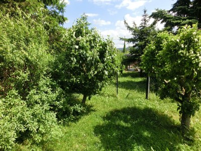 Holiday house Quiet Comfort Near Castle - Outdoor photo 11
