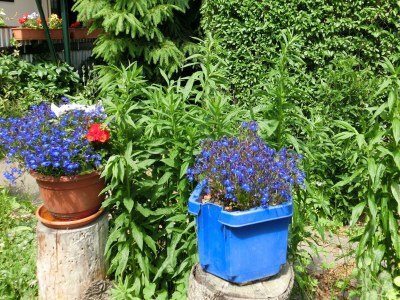 Holiday house Quiet Comfort Near Castle - Outdoor photo 30