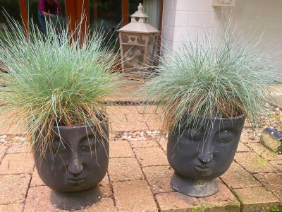 Holiday house Ferienhaus Boschhuys - Outdoor photo 14