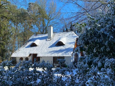 Holiday house Ferienhaus Boschhuys - Outdoor photo 21