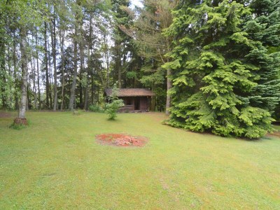 Holiday house Ferienhaus in Monschau am Wald - Outdoor photo 38