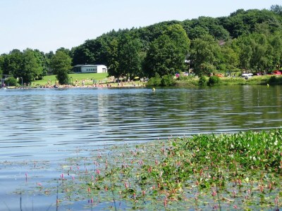 Holiday house Wald-Ferienhaus, Liebenscheid - Environment photo 21