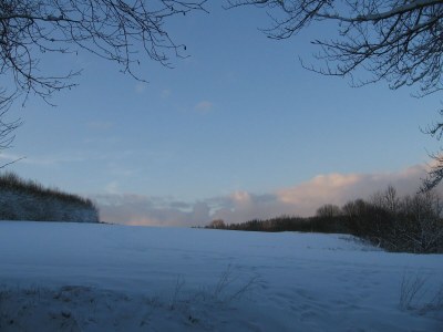 Holiday house Wald-Ferienhaus, Liebenscheid - Environment photo 29