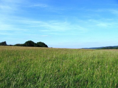 Holiday house Wald-Ferienhaus, Liebenscheid - Environment photo 30