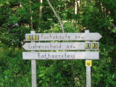 Holiday house Wald-Ferienhaus, Liebenscheid - Outdoor photo 31