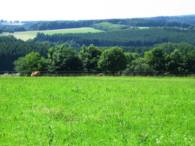 Holiday house Wald-Ferienhaus, Liebenscheid - Outdoor photo 32
