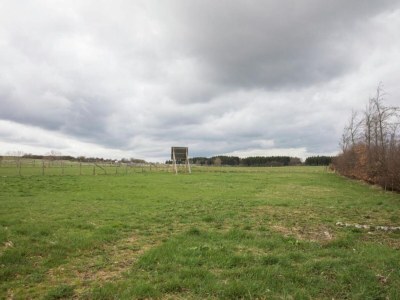 Apartment Monschau Gartenwohnung - Environment photo 31