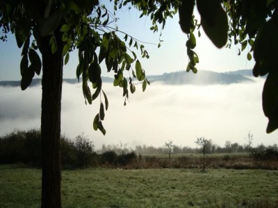 Apartment Monschau Gartenwohnung - Environment photo 37