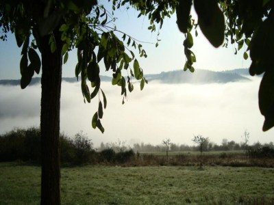 Apartment Modernes Apartment mit Parkplatz in der Eifel - Environment photo 32