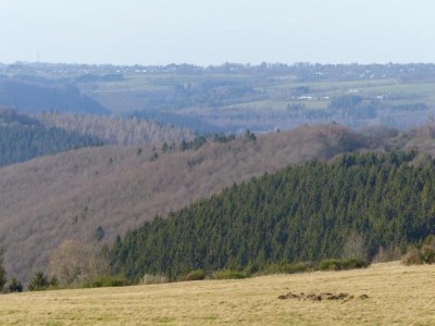 Apartment Apartment in Schleiden - Environment photo 32