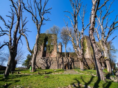 Holiday house Eifel Nationalpark Grand Lodge - Environment photo 26