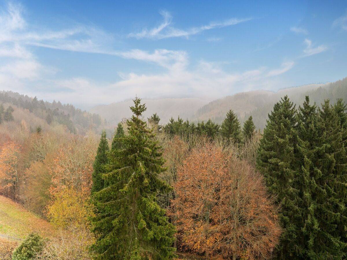 Apartment Reifferscheid Wellness Escape - Outdoor photo 5