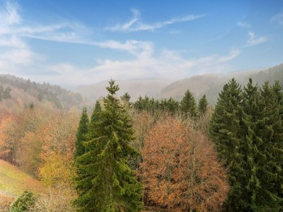 Apartment Reifferscheid Wellness Escape - Outdoor photo 5