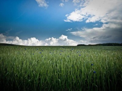 Holiday house Villa Hochwald Familienhaus - Environment photo 24