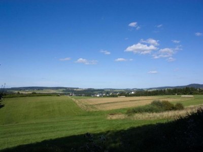 Holiday house Villa Hochwald Familienhaus - Environment photo 25