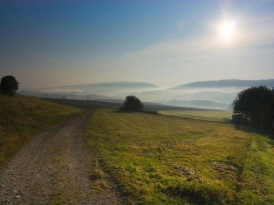 Holiday house Villa Hochwald Familienhaus - Environment photo 26