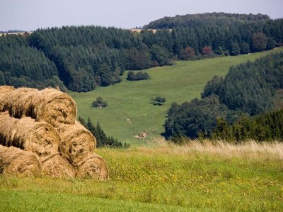 Holiday house Villa Hochwald Familienhaus - Environment photo 27