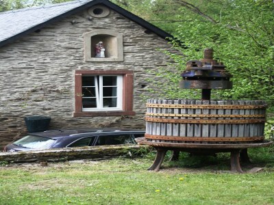 Holiday house Moselmühlen-Gartenaufenthalt - Outdoor photo 10