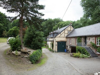 Holiday house Moselmühlen-Gartenaufenthalt - Outdoor photo 12
