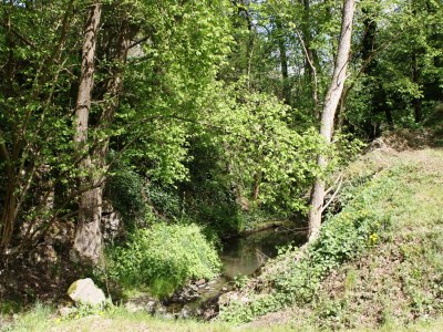 Holiday house Moselmühlen-Gartenaufenthalt - Environment photo 37