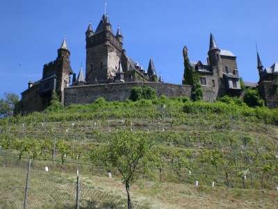 Holiday house Moselmühlen-Gartenaufenthalt - Environment photo 39