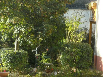 Apartment Apartment in Morbach near Ski Lift - Outdoor photo 4