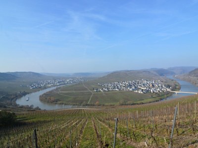 Apartment Apartment in Morbach near Ski Lift - Environment photo 25