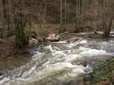 Apartment Apartment in Morbach near Ski Lift - Environment photo 26