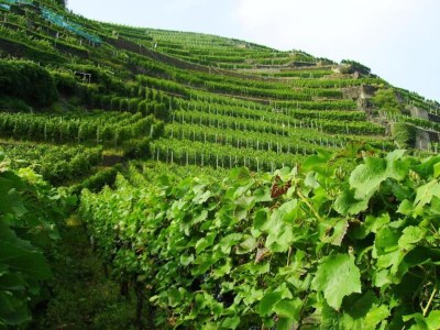 Apartment Apartment in Morbach near Ski Lift - Environment photo 33