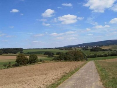 Apartment Apartment in Morbach near Ski Lift - Environment photo 36