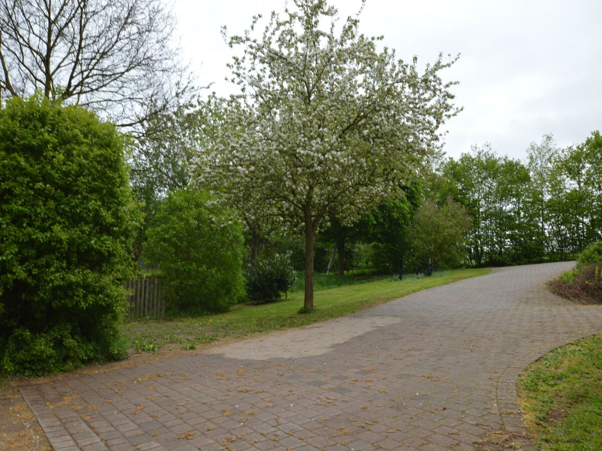 Apartment Comfy Apartment in Gransdorf with Garden - Outdoor photo 2