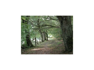 Apartment Apartment in Gransdorf with Scenic Views - Environment photo 22