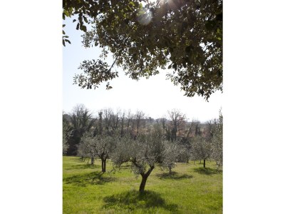 Holiday house Villa Rosy - Outdoor photo 7