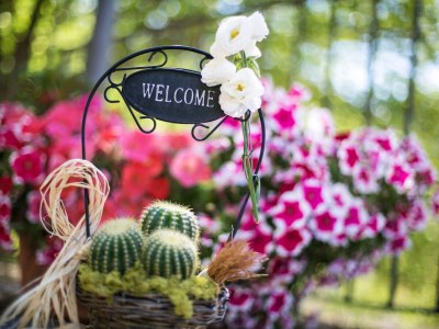 Holiday house Villa Rosy - Outdoor photo 8