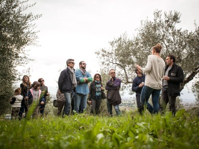 Holiday house Villa Rosy - Environment photo 29