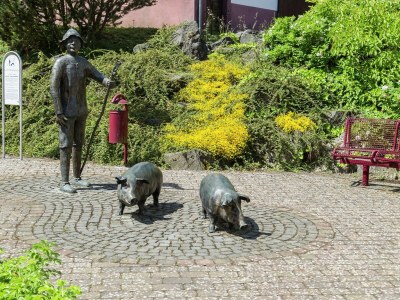 Holiday house Ferienhaus mit Terrasse nahe vulkanischen Seen - Environment photo 27