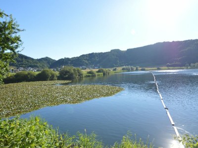 Apartment Gemütliche Wohnung mit Terrasse in Meisburg - Environment photo 29