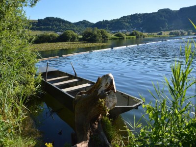 Apartment Gemütliche Wohnung mit Terrasse in Meisburg - Environment photo 34