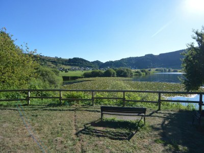 Apartment Gemütliche Wohnung mit Terrasse in Meisburg - Environment photo 35
