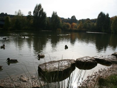 Apartment Romantische Auszeit in Hillesheim - Environment photo 20