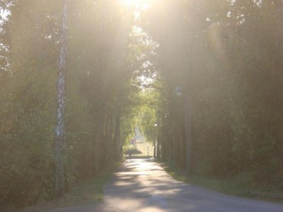 Apartment Romantische Auszeit in Hillesheim - Environment photo 30