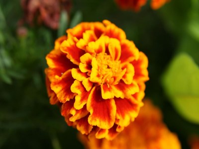 Apartment Romantische Auszeit in Hillesheim - Outdoor photo 35