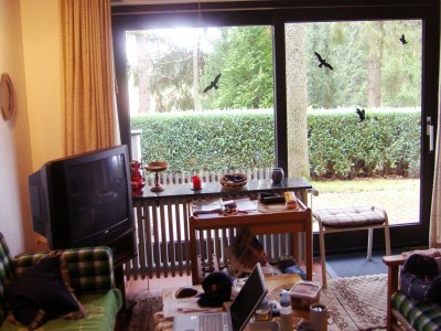 Holiday house Lissendorf Forest View Lodge - Outdoor photo 8