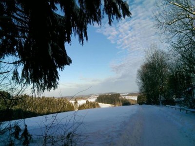 Holiday house Lissendorf Forest View Lodge - Environment photo 31