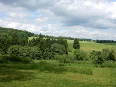 Holiday house Lissendorf Forest View Lodge - Environment photo 36