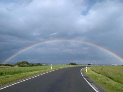 Apartment Rommersheim Forest Retreat - Environment photo 25